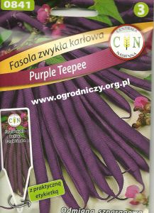 Fasola Purple Teepee - szparagowa karłowa